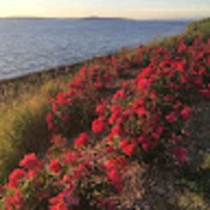 Meet your Posher, Jodi